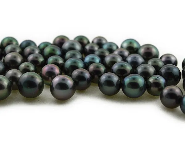 Round - Tahitian Pearls, AA1 Quality, Sizes 8 to 11mm